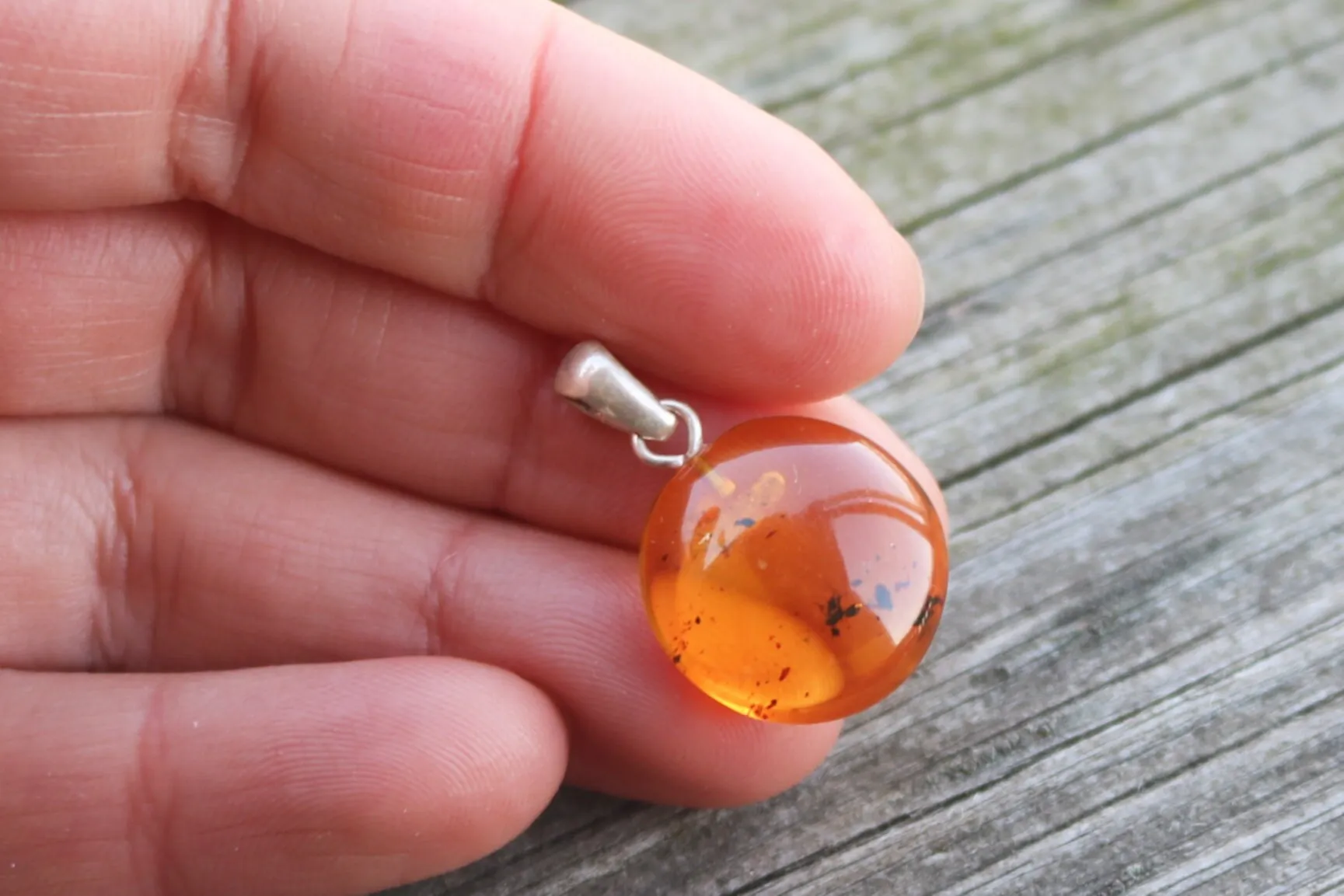 Baltic Amber Pendant Fossil Insect Round Natural Honey Untreated 1" 1.7 gram