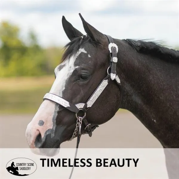 Billy Royal® Madix Silver Show Halter