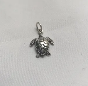 Sea Turtle